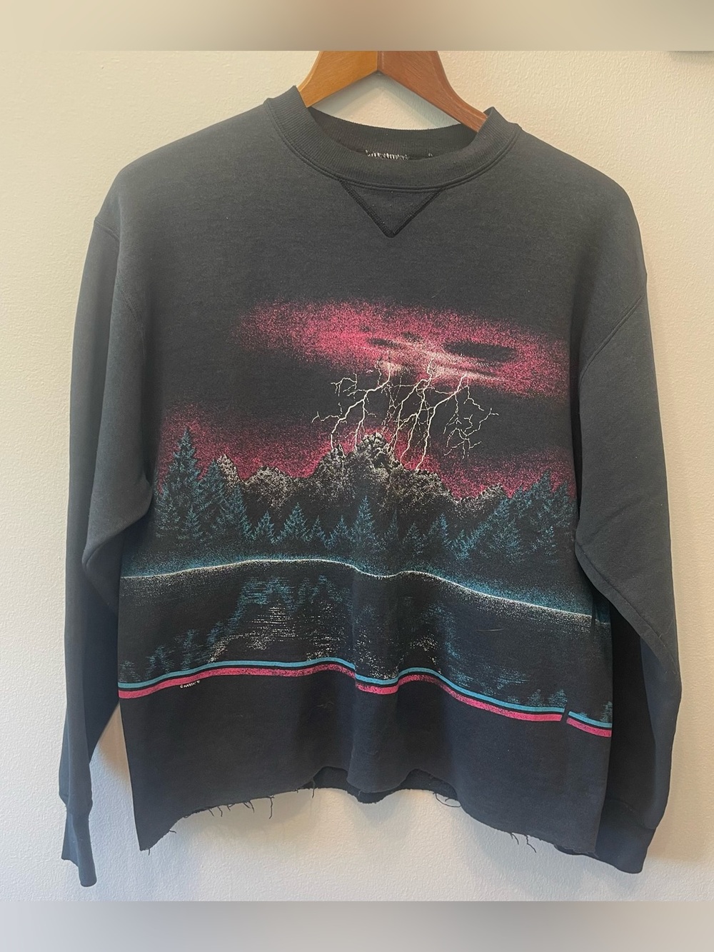 90s Signal Mountain Range/Lightening Storm Sweatshirt L